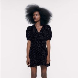 Velvet Polka Dot Zara Dress